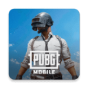 pubg地铁逃生国际服下载v3.5.0