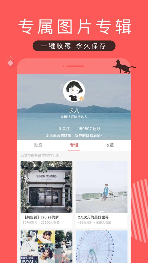 堆糖app最新版截图3