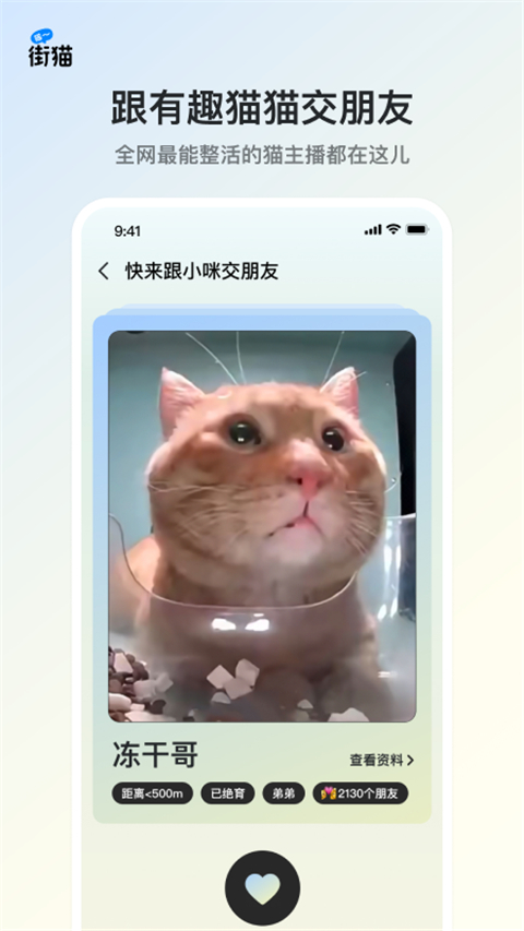 街猫app截图1