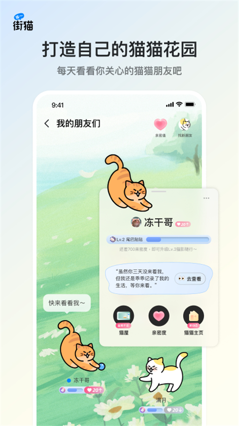 街猫app截图2