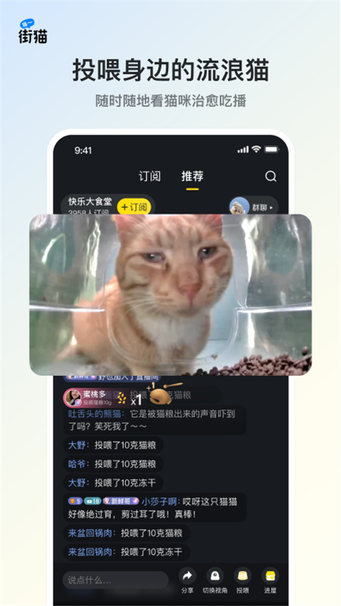 街猫app截图5