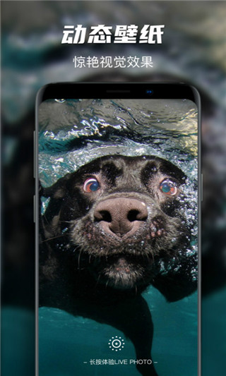 遥望壁纸app截图4