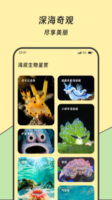 滚滚流量宝app安卓版截图1