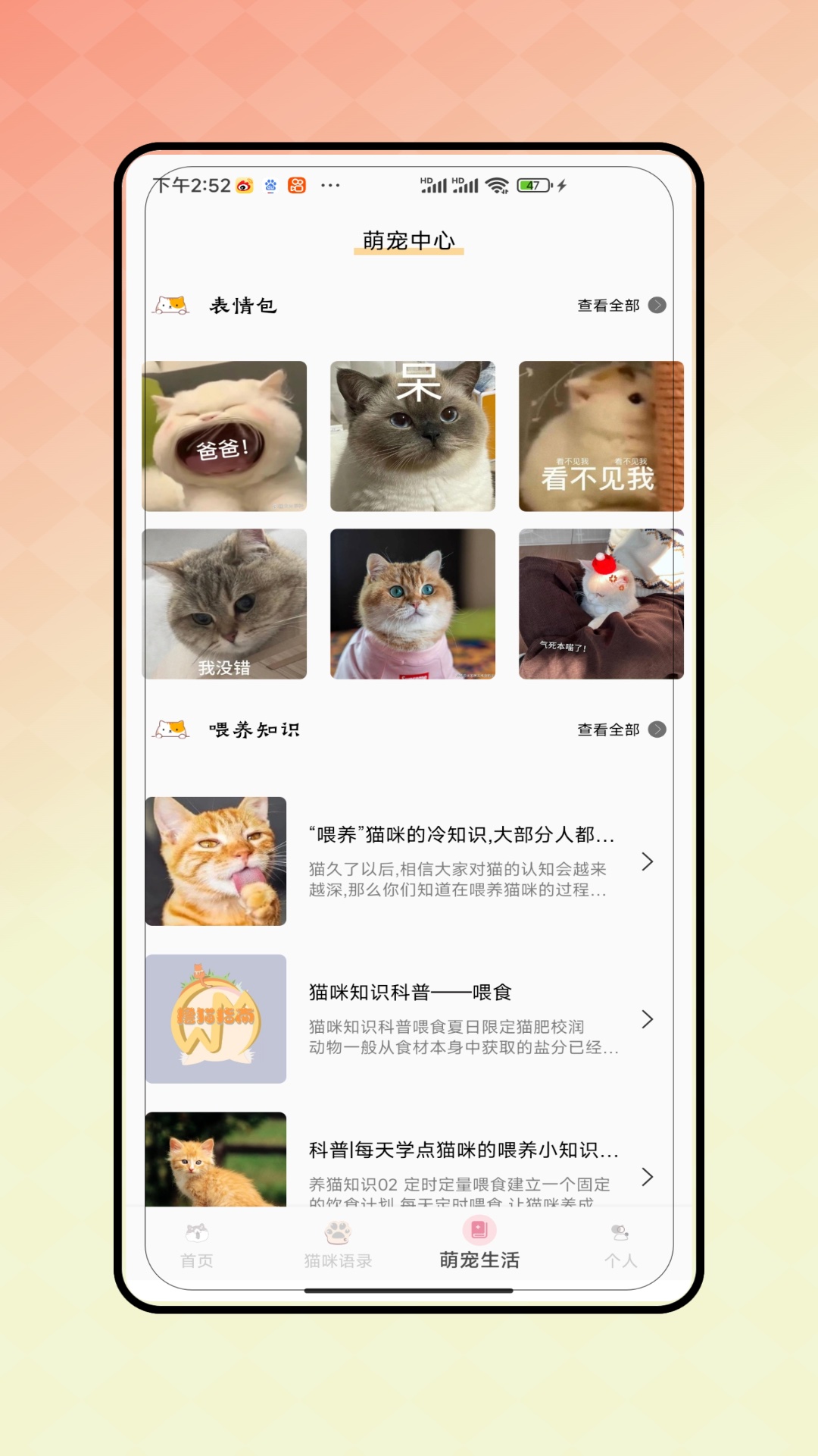 猫语翻译截图2