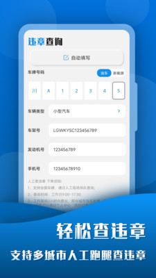 查违章123app截图2