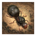 小小蚁国国际服(The Ants)v3.61.0