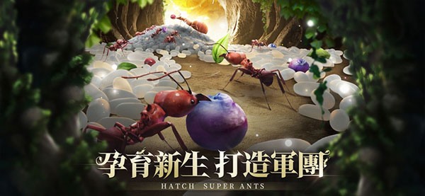 小小蚁国国际服(The Ants)截图3