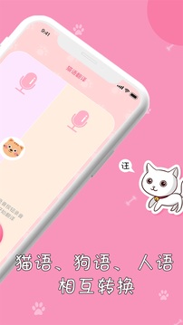 小猫截图3