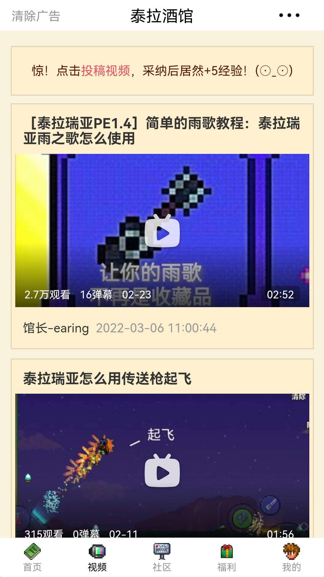 泰拉酒馆最新版截图1