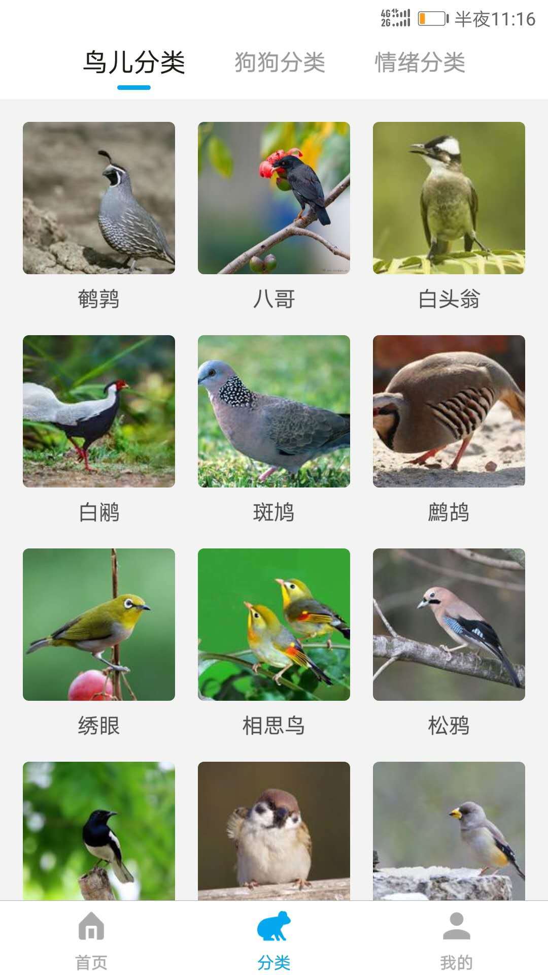 动物翻译器最新版截图2