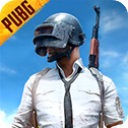 PUBG测试服2025最新版v2.8.4