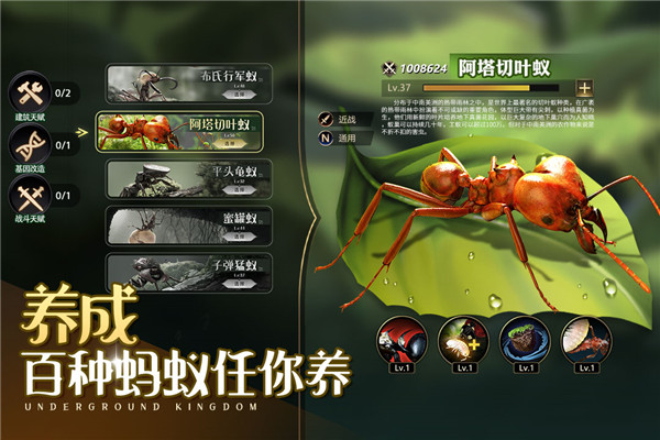 小小蚁国破解版无限资源截图1