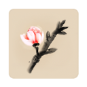 冬蜃楼手机版v1.0.4