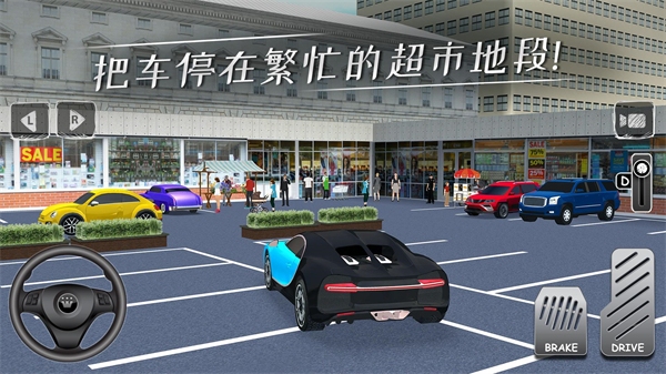 停车专家中文最新版截图4