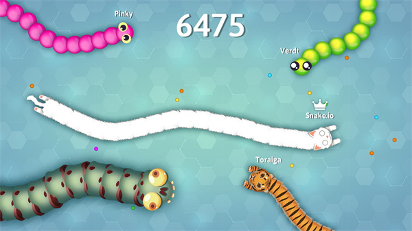 Snakeio最新版截图3