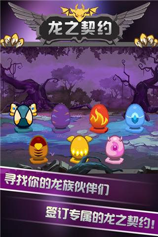 龙之契约无限钻石版截图2