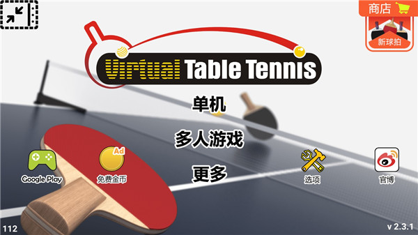 虚拟乒乓球官方正版截图1