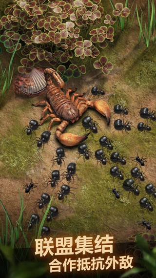 小小蚁国国际服(The Ants)截图1