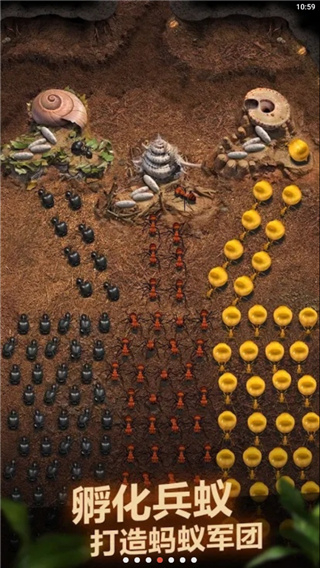 小小蚁国国际服(The Ants)截图5