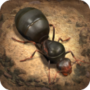 小小蚁国国际服(The Ants)v3.26.0