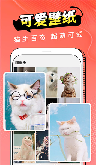 猫翻译app截图3