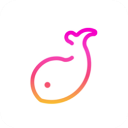 伴鱼音乐appv4.24.17