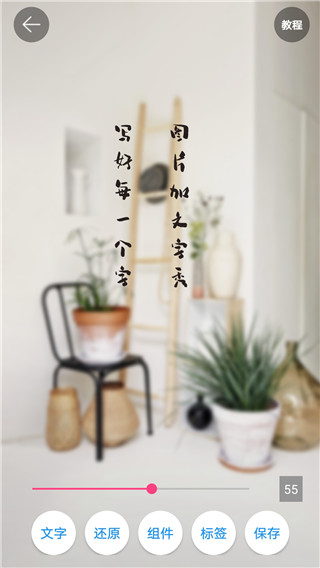 图片加文字秀app截图2