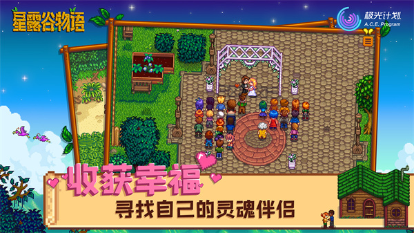 星露谷物语原版最新版截图5