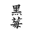 黑莓浏览器最新版v2.0.1