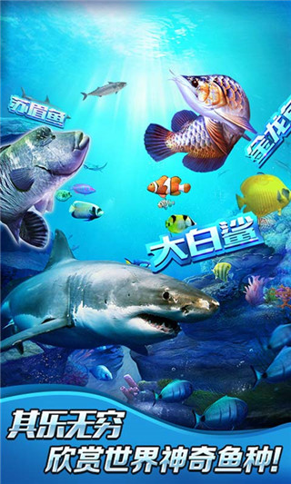 全民钓鱼2最新版截图3