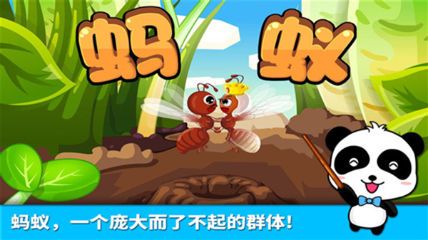 宝宝认蚂蚁游戏最新版截图4