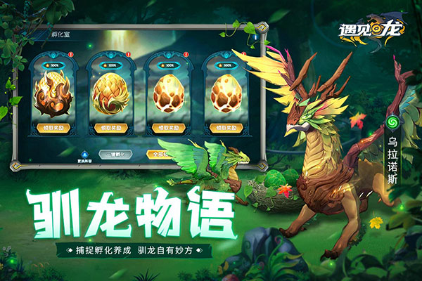 遇见龙手游官服截图2