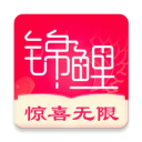 锦鲤购appv1.0.5