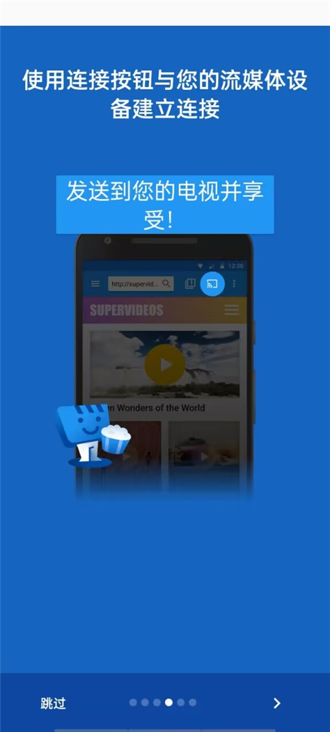 Web Video Caster投屏软件高级版截图3