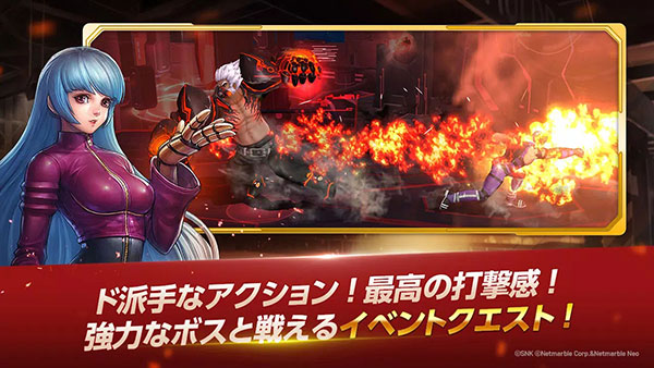 kofallstar最新版2025截图4