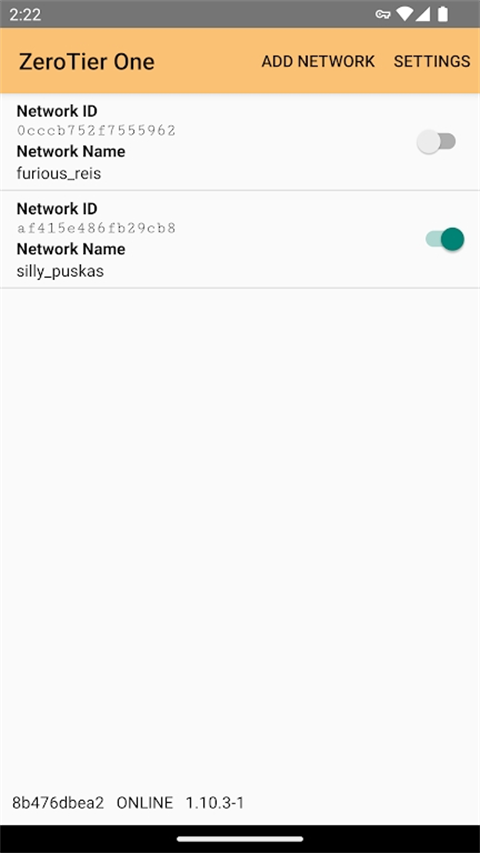 Zerotier One安卓最新版截图3