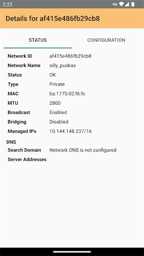 Zerotier One安卓最新版截图4