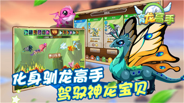 育龙高手变态版截图1