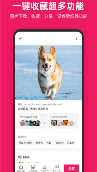 图片搜搜2025版截图3