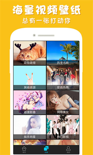 光点视频壁纸app(更名为彩蛋视频壁纸)截图1