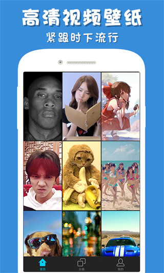 光点视频壁纸app(更名为彩蛋视频壁纸)截图4