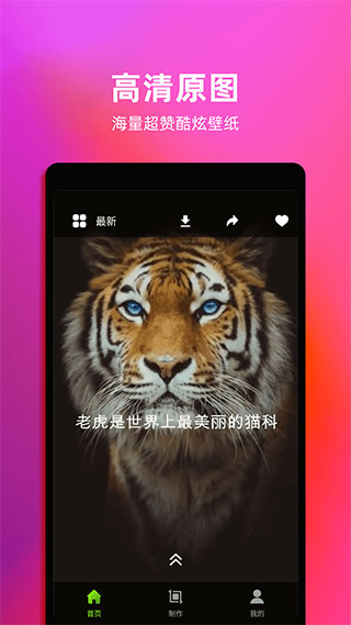 live动态壁纸app官方版截图1
