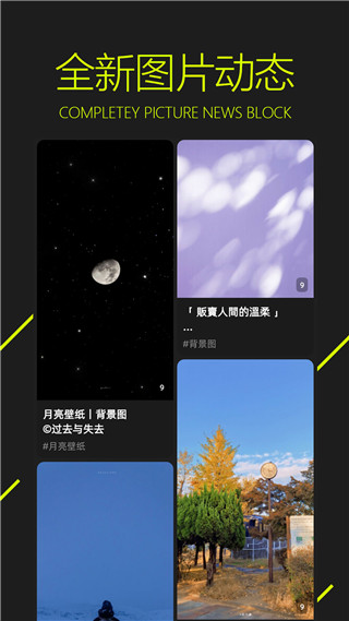 图凌壁纸app官方版截图2