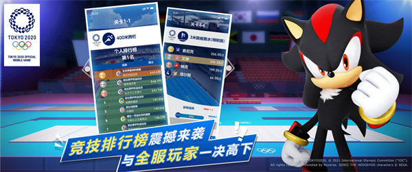 索尼克在2020东京奥运会内测免费完整版截图4