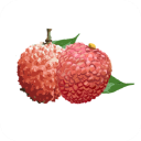 增城泊车appv1.4.7