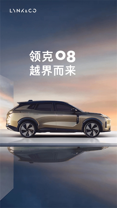领克app官方版截图5