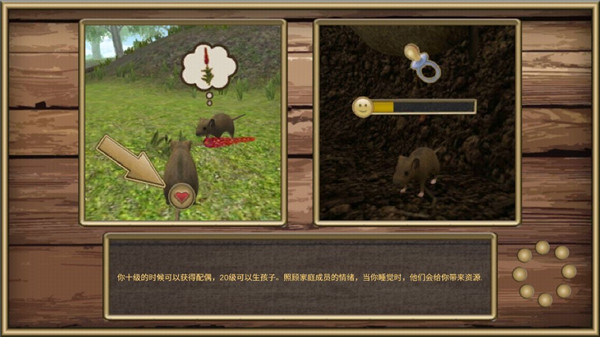 老鼠模拟器中文版最新版截图2