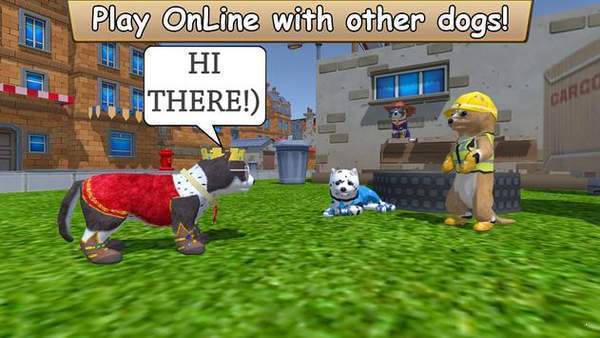 美国zoom动物最新版2025截图2