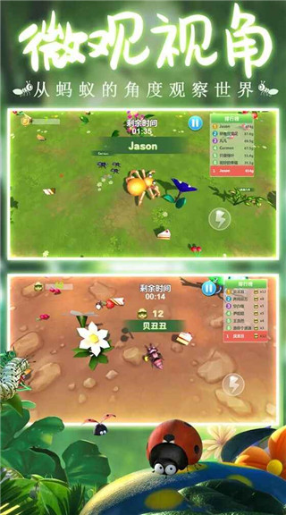 蚂蚁行军团最新版截图5