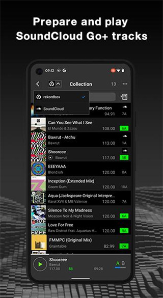 rekordbox手机最新版截图2